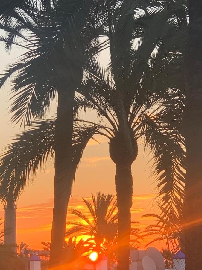 Appartement Palmeras Puerto Paraiso Estepona Buitenkant foto