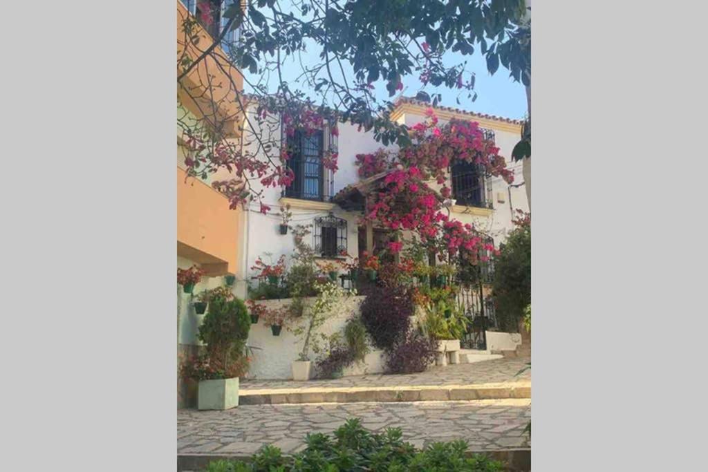 Appartement Palmeras Puerto Paraiso Estepona Buitenkant foto